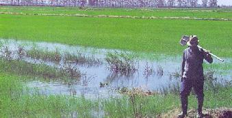 Un agricoltore al lavoro