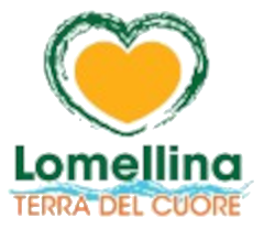 Logo Vigevano Promotions