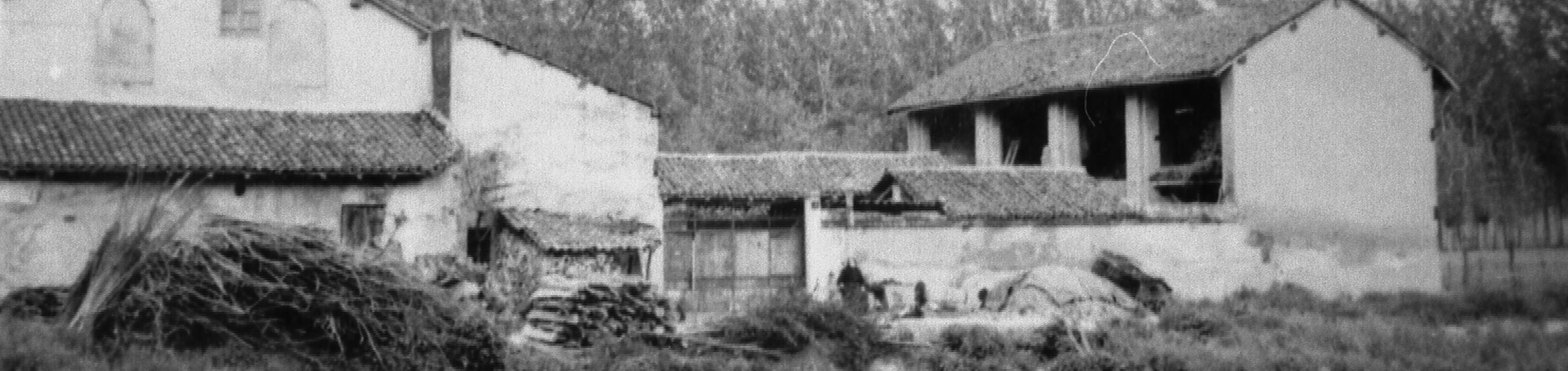 Un momento della Sagra dell'Offella a Parona