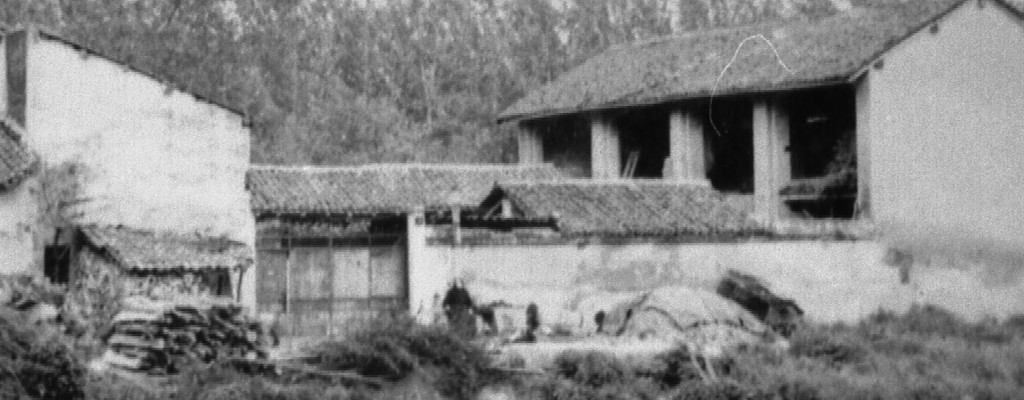 Un momento della Sagra dell'Offella a Parona